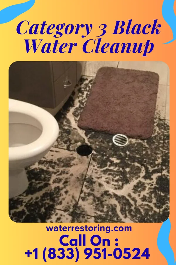 Category 3 Black Water Cleanup in Morrisville, NC