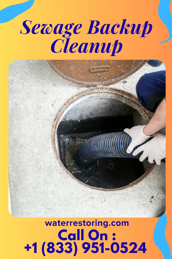 Sewage Backup Cleanup in Morrisville, NC