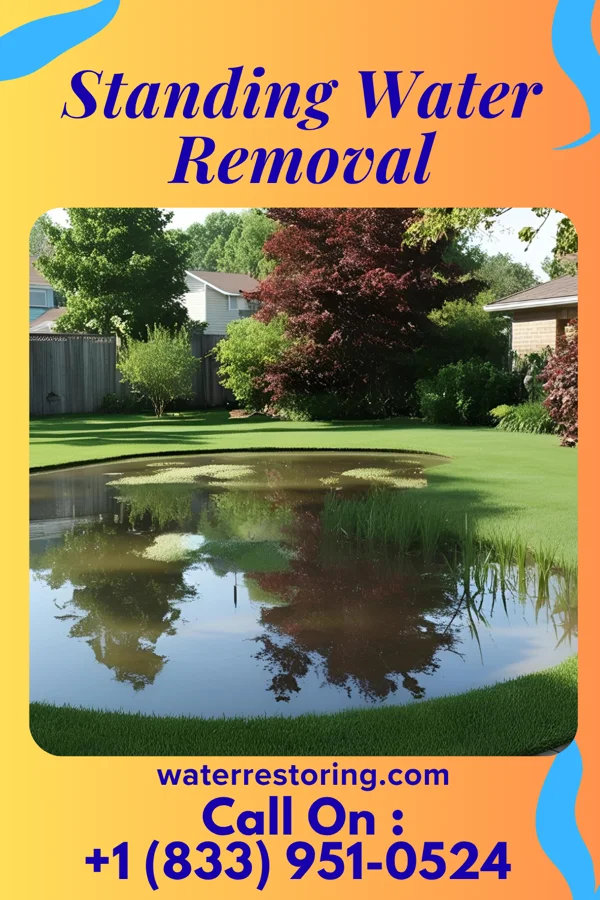 Standing Water Removal in Morrisville, NC